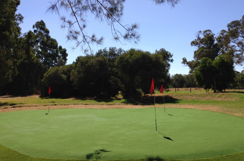 EYE-CATCHING ARTIFICIAL PUTTING GREEN GRASS