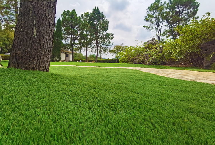 CCGrass, how to cut artificial grass around curves